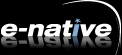 e-native logo